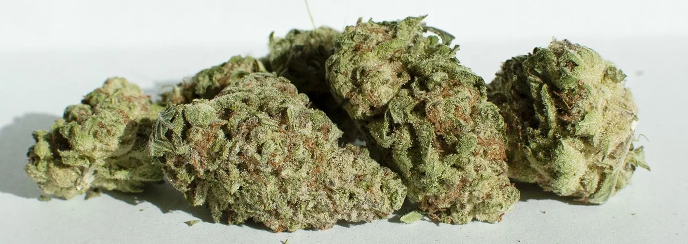 Cherry OG Strain Review Cheap Weed delivery Toronto. Dispensary near me MeDispensary