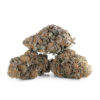 Purple Punch – Sativa BULK