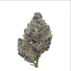 Amnesia Haze – Sativa