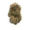 Pink Coma LSO – Indica