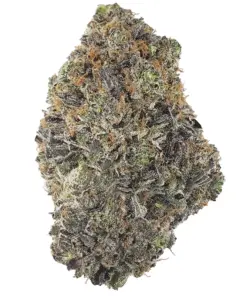 Astro Pink – Indica BULK