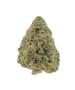 Blueberry Diesel – Sativa