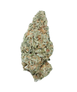 Very Berry – Sativa Bulk