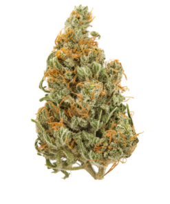 Kandy Kush – Sativa BULK