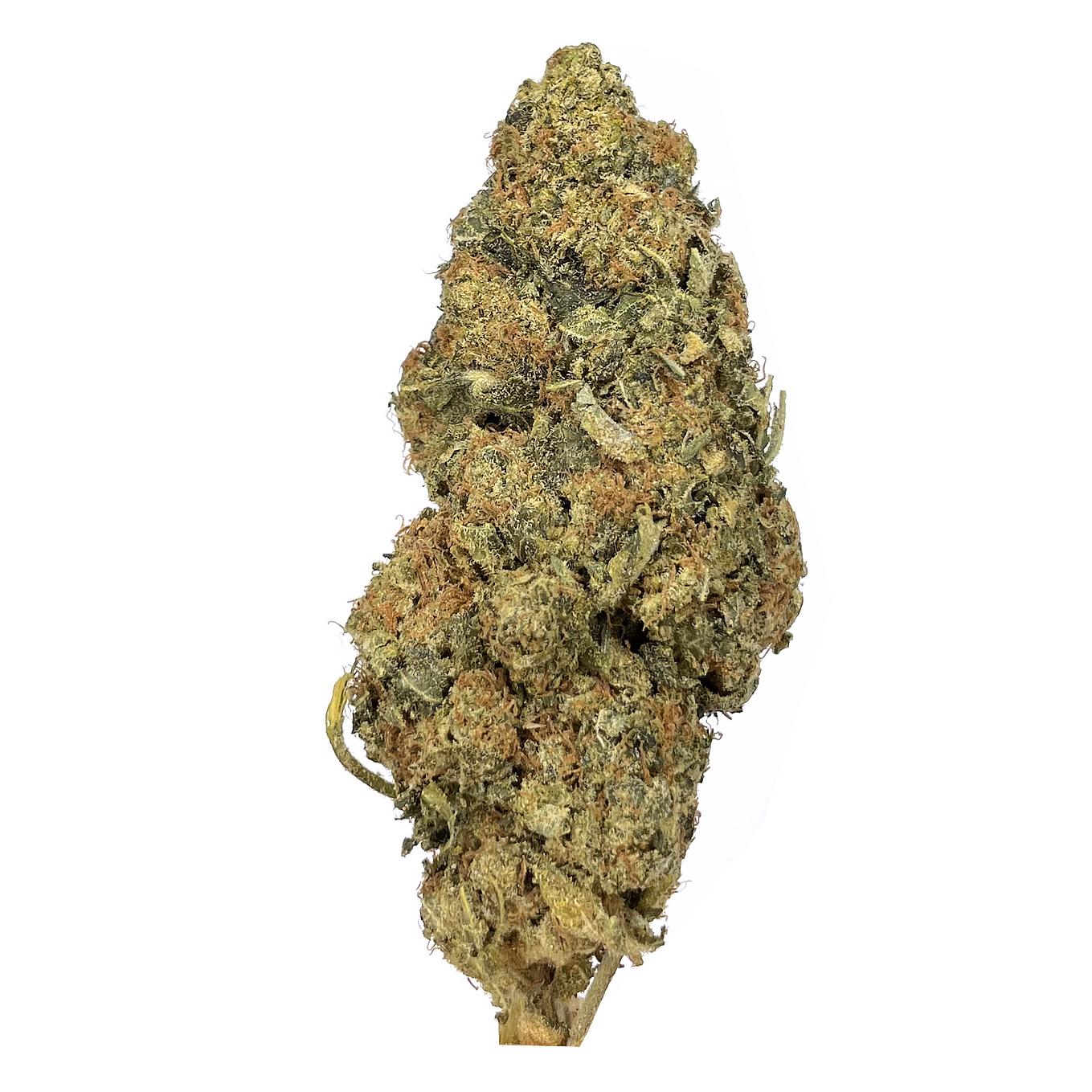 Recon – AA+ – $65/Oz