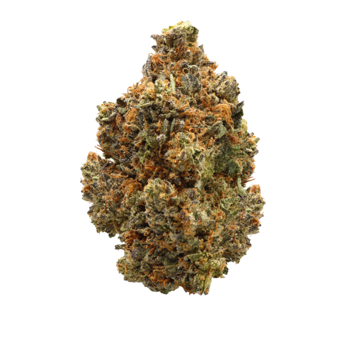 Sunshine Coast Pink – Indica