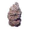 Purple Space Cookies – Hybrid