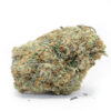 Sunshine Coast Pink – Indica