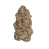 Pink Nitro – Indica