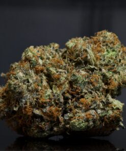 White Death LSO-Indica