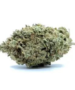 Blue Diesel – Hybrid OZ Special