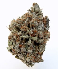 Chemo Kush – Hybrid BULK