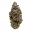 Pink Rockstar – Indica