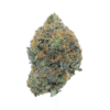 Pink Zushi – Indica