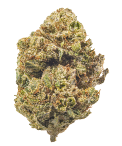 Purple Kush – Indica BULK