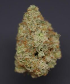 Black Dutch –  Indica