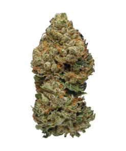 Cherry Kush – Hybrid BULK