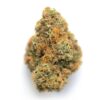 Orange Diesel – Hybrid