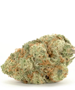 Frosted Flakes – Hybrid BULK