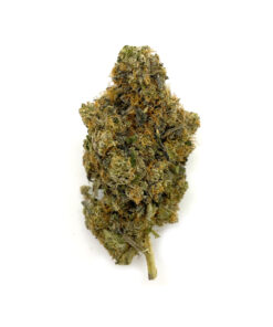 Lemon Tart – Sativa BULK