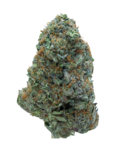 Atomic Pink – Indica