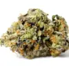 Pink Ghost – Indica