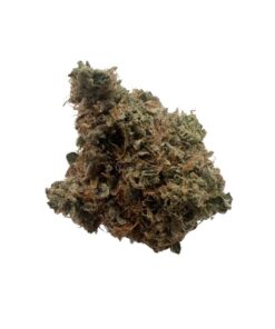 Black Dutch –  Indica