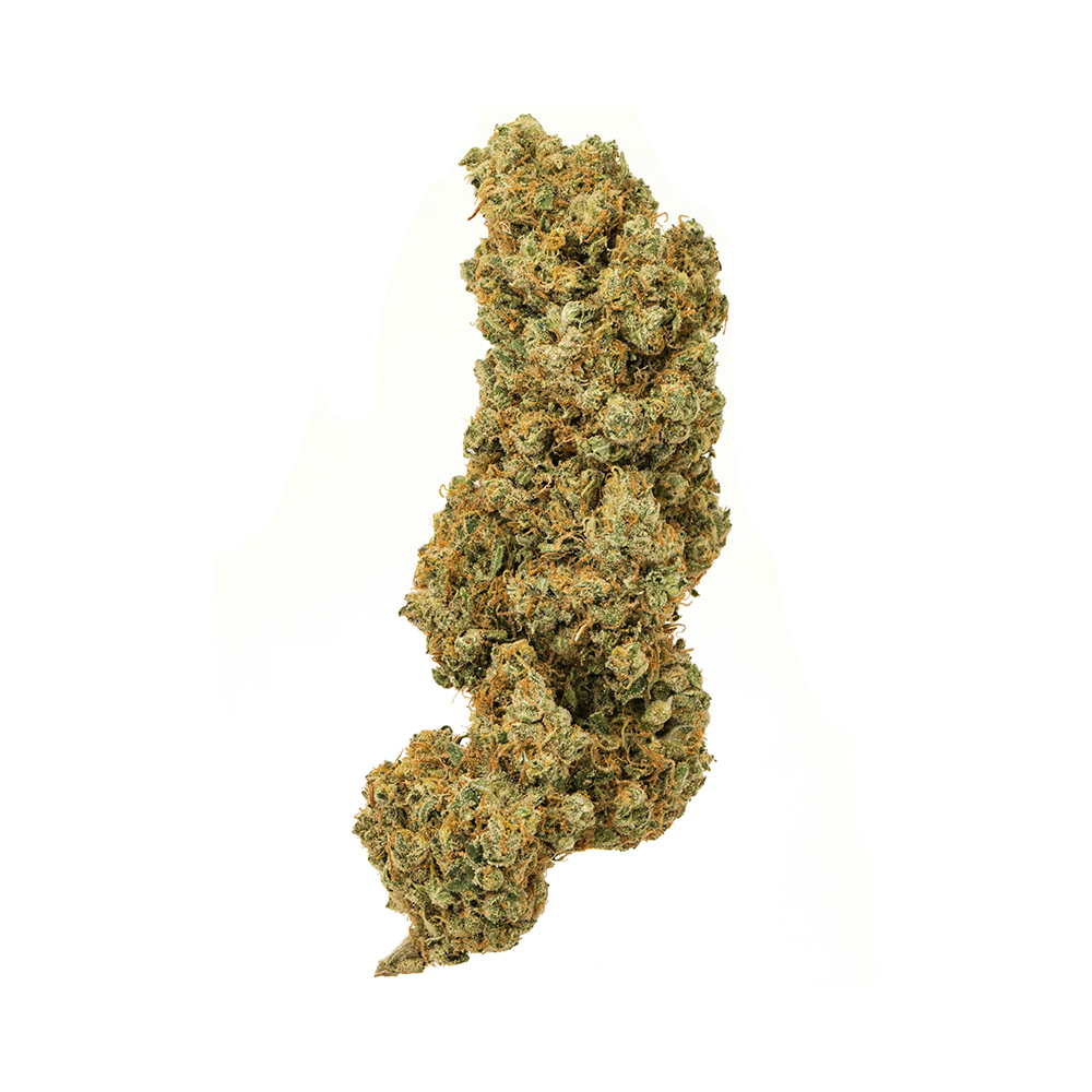 Super Silver Haze – Sativa BULK