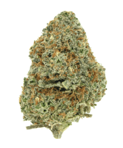 Mango Kush – Sativa