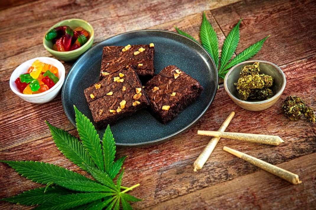 Vegan Cannabis Edibles 12 - Top Vegan Cannabis Edibles to Make at Home