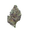 Pink Nitro – Indica