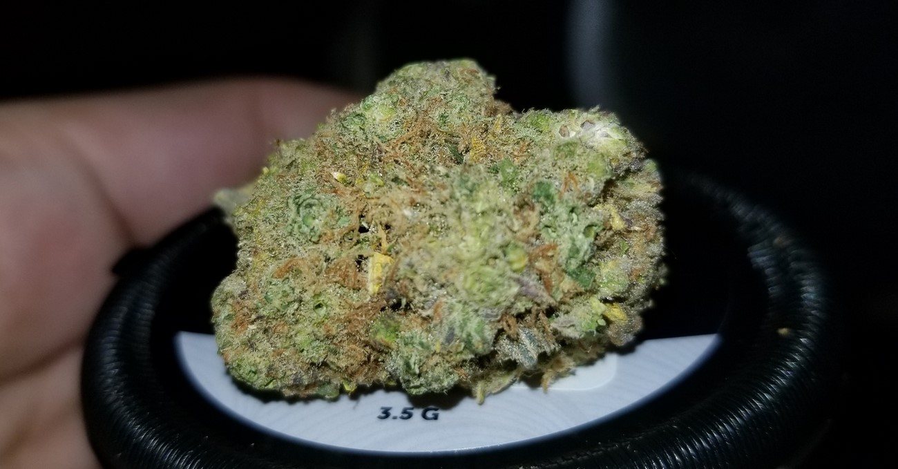 Afghani Strain Review 2 - Afghani Strain