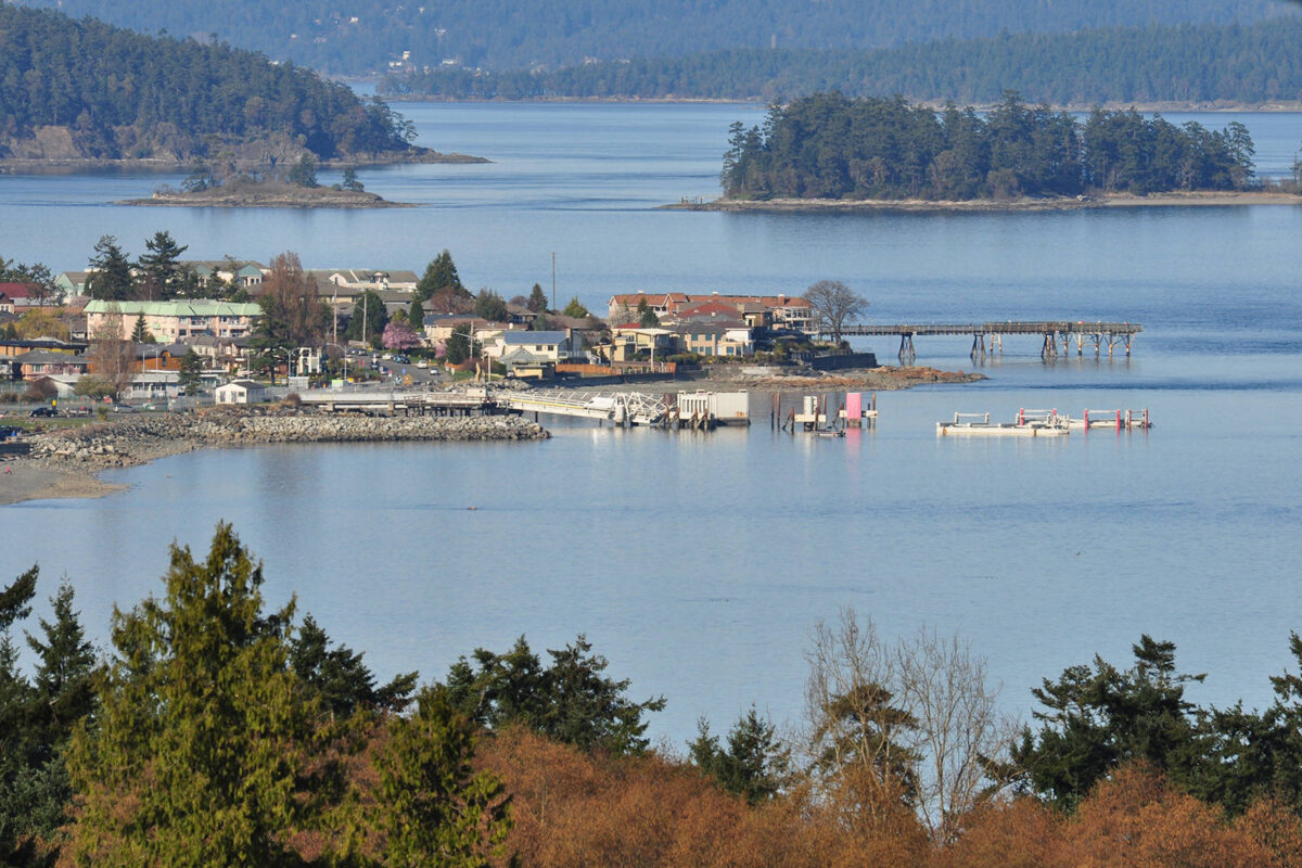 107 1200x800 - Best Same-Day Cannabis Delivery in Saanich