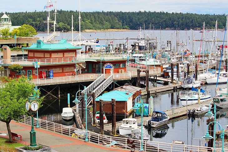 128 - Best Same-Day Cannabis Delivery in Nanaimo