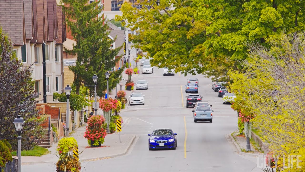 136 - Best Same-Day Cannabis Delivery in Windsor