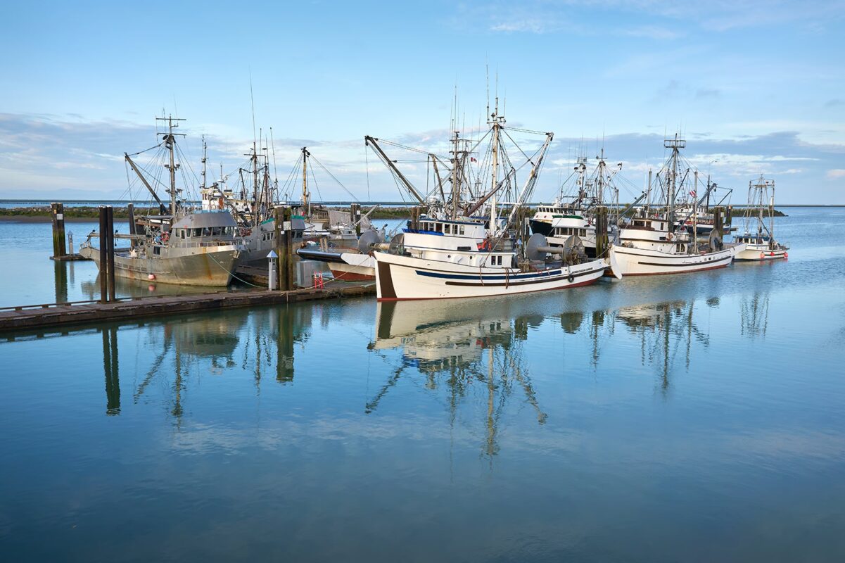 56 1 1201x800 - Best Same-Day Cannabis Delivery in Richmond