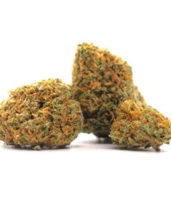 Agent Orange – AAA