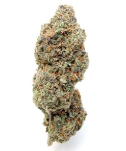 Ayahuasca Purple – AAAA