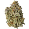 Alien OG Alien OG