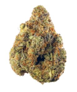 Afghani – Indica