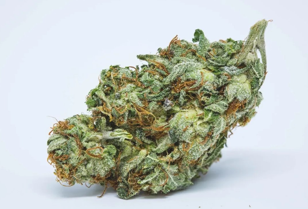 Afghani Strain Afghani Strain Review - Afghani Strain