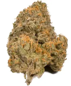 Agent Orange – Sativa Agent Orange – Sativa