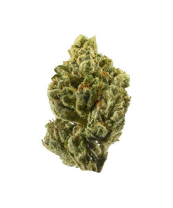 Alien OG – Hybrid Alien OG – Hybrid