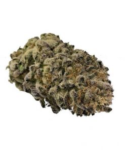 Black Dolato – AAA