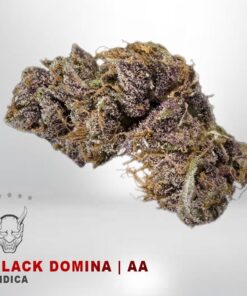 Black Domina – AA – $75/Oz