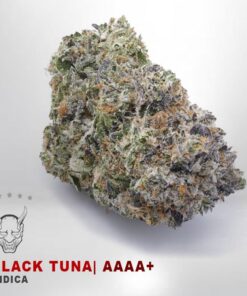 Black Tuna – AAAA+