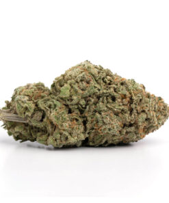 Blue Dream – Sativa Blue Dream – Sativa