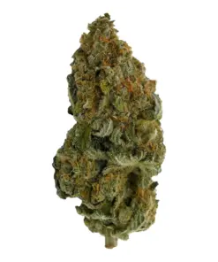 Blue Widow – Hybrid/Sativa Blue Widow – Hybrid/Sativa