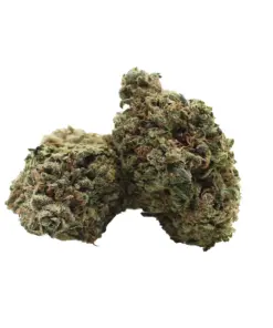 Blue Diesel AA – Hybrid