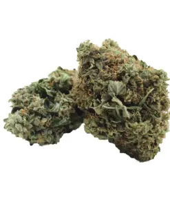 Bubba AA – Indica